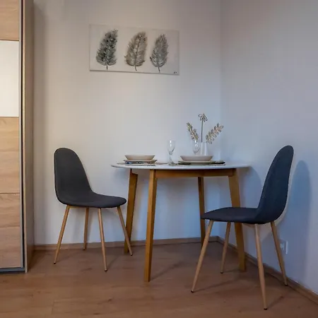 Apartamento Cozy Small Apartment With Free Parking Máribor